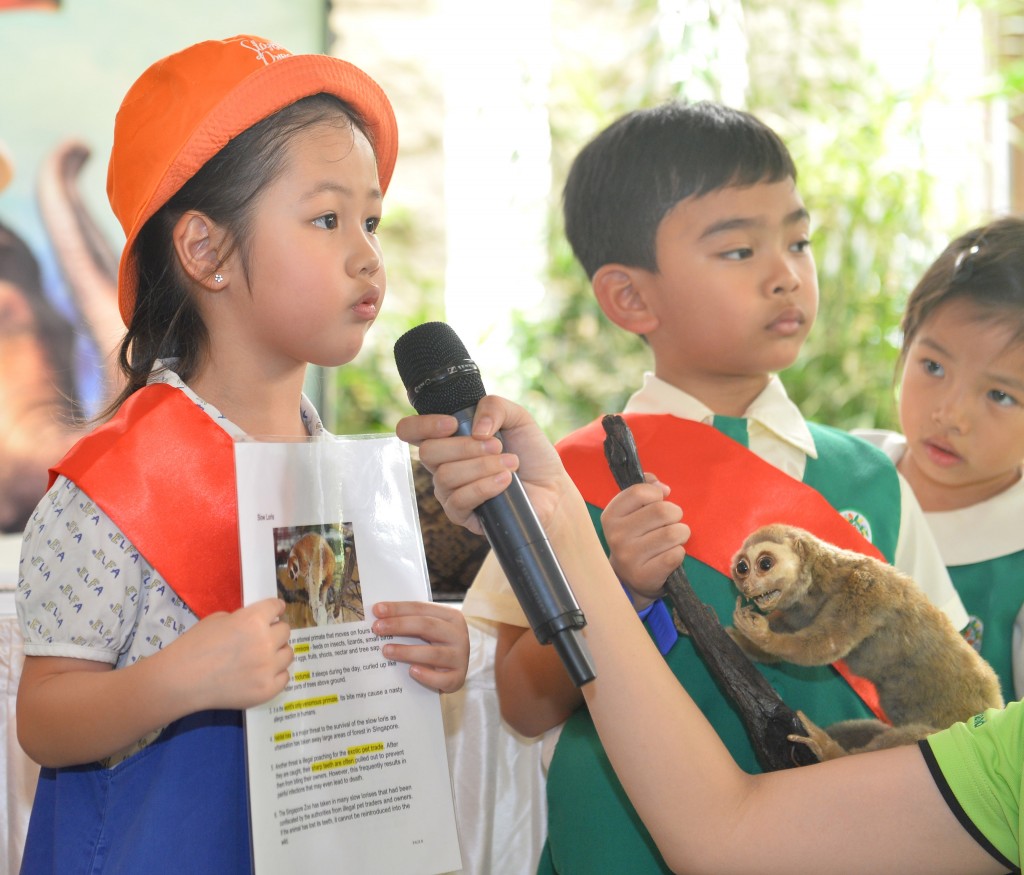 Our Pangolin Ambassadors shared with guests what they learned about conservation of pangolins.